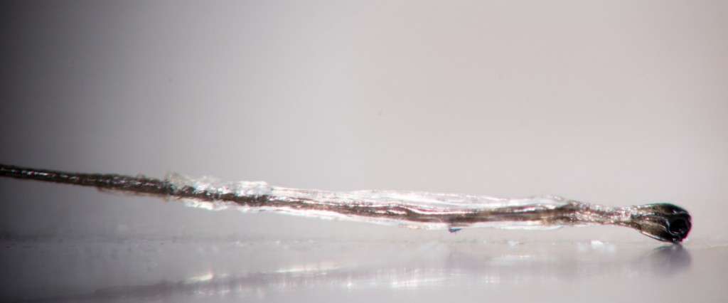 Electrolysis Success Rate - epilated hair